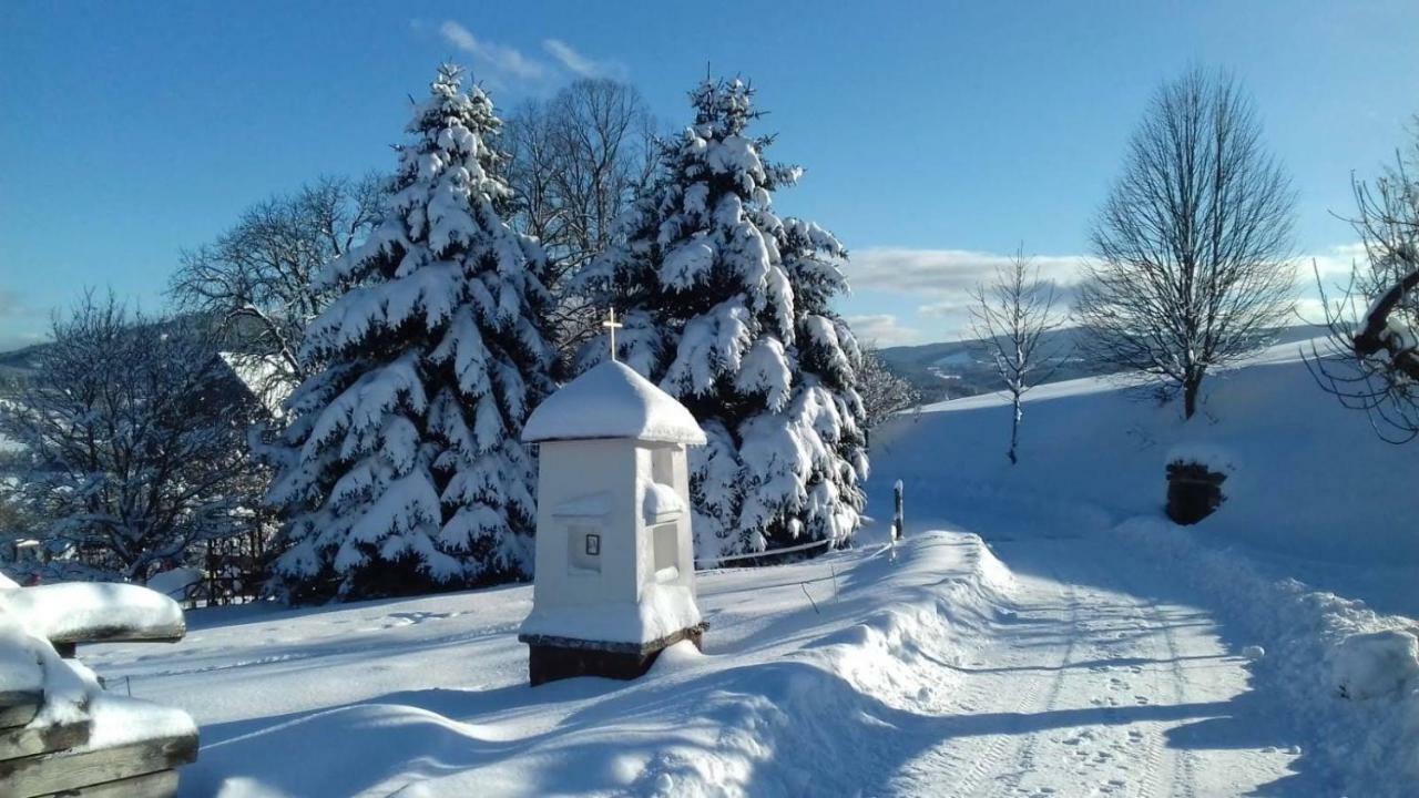 Stylová chalupa na kraji národního parku Šumava Strunkov Exteriér fotografie