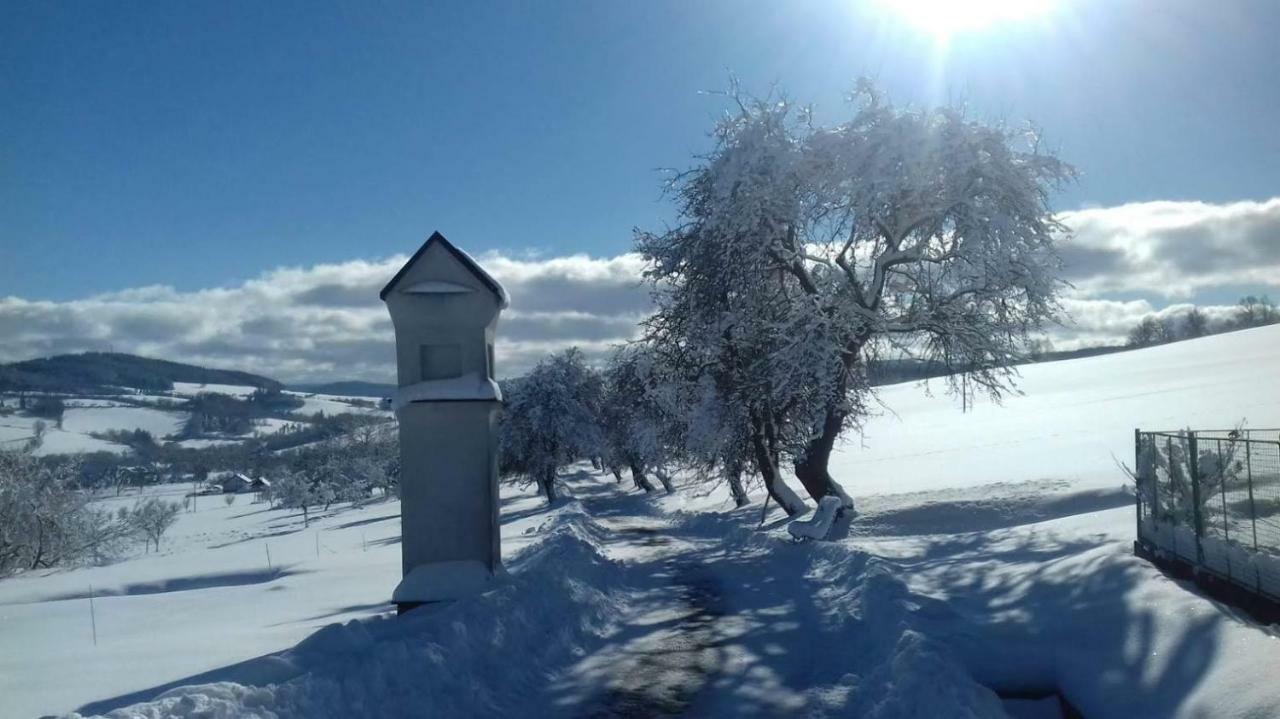 Stylová chalupa na kraji národního parku Šumava Strunkov Exteriér fotografie